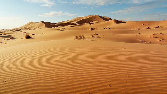 Half-Day Guided Tour to Sahara Dunes from Agadir