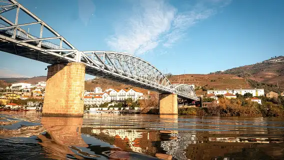 Authentic Small Group Douro Wine Tour with Lunch & River Cruise