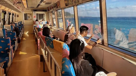 1-day tour to Jogasaki Coast + Mt. Omuro + Seaside Train in Izu, Japan|Small group option for up to 9 people