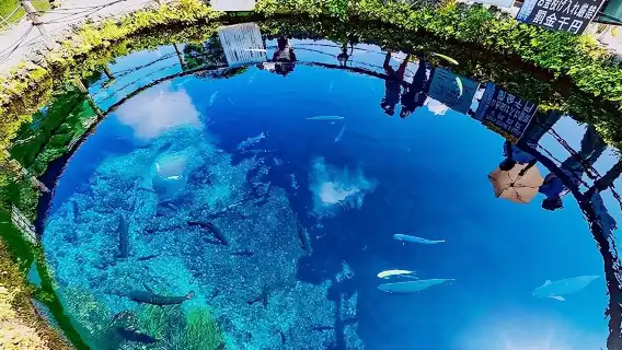 日本箱根箱根神社＋箱根海賊船＋箱根空中纜車＋忍野八海一日遊