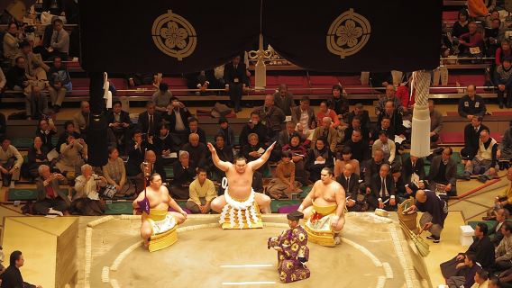 Tokyo Sumo Wrestling Tournament Experience