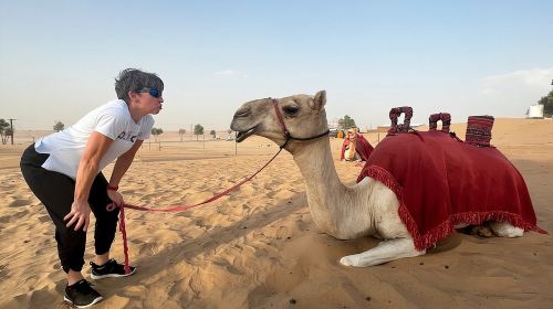 Abu Dhabi Desert Safari: Activities, Live Shows & VIP Area Dining Day Tours 3