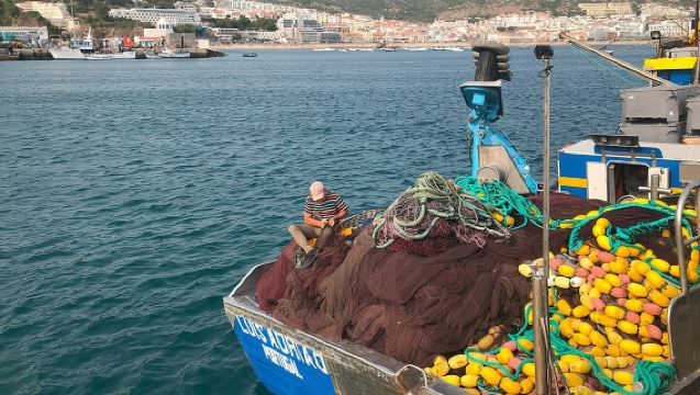 Privé halve dag Arrabida-reis met wijnproeverij in Sesimbra