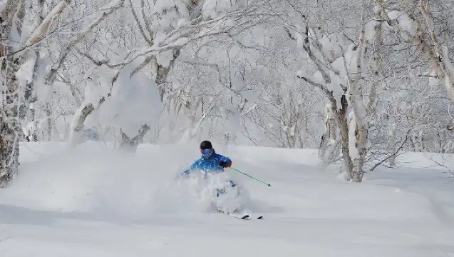 日本北海道手稻滑雪場【中文/英文滑雪一日遊｜小團教學+來回酒店接送+攝影+纜車票 ｜自選學具】