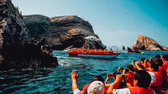 Full Day at Ballestas Islands & Paracas Reserve