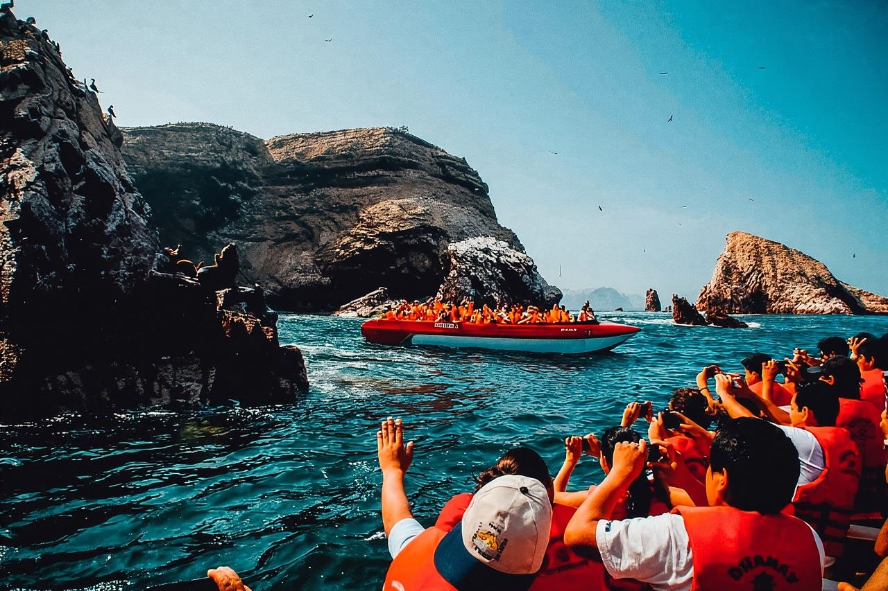 Full Day at Ballestas Islands & Paracas Reserve
