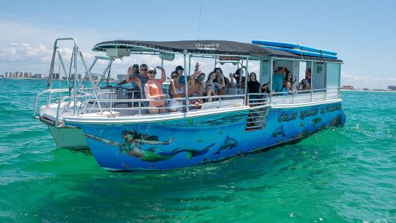 Destin: Dolphin Tour Aboard The Crab Island Runner