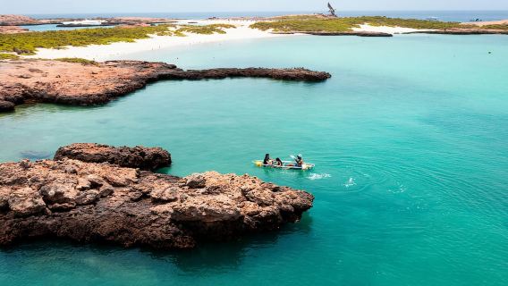 Daymaniat Journey: Group Tour with Snorkeling