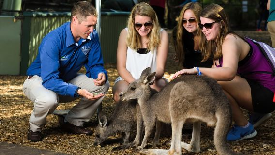 Da Sydney: tour per piccoli gruppi delle Blue Mountains con picnic ed escursione