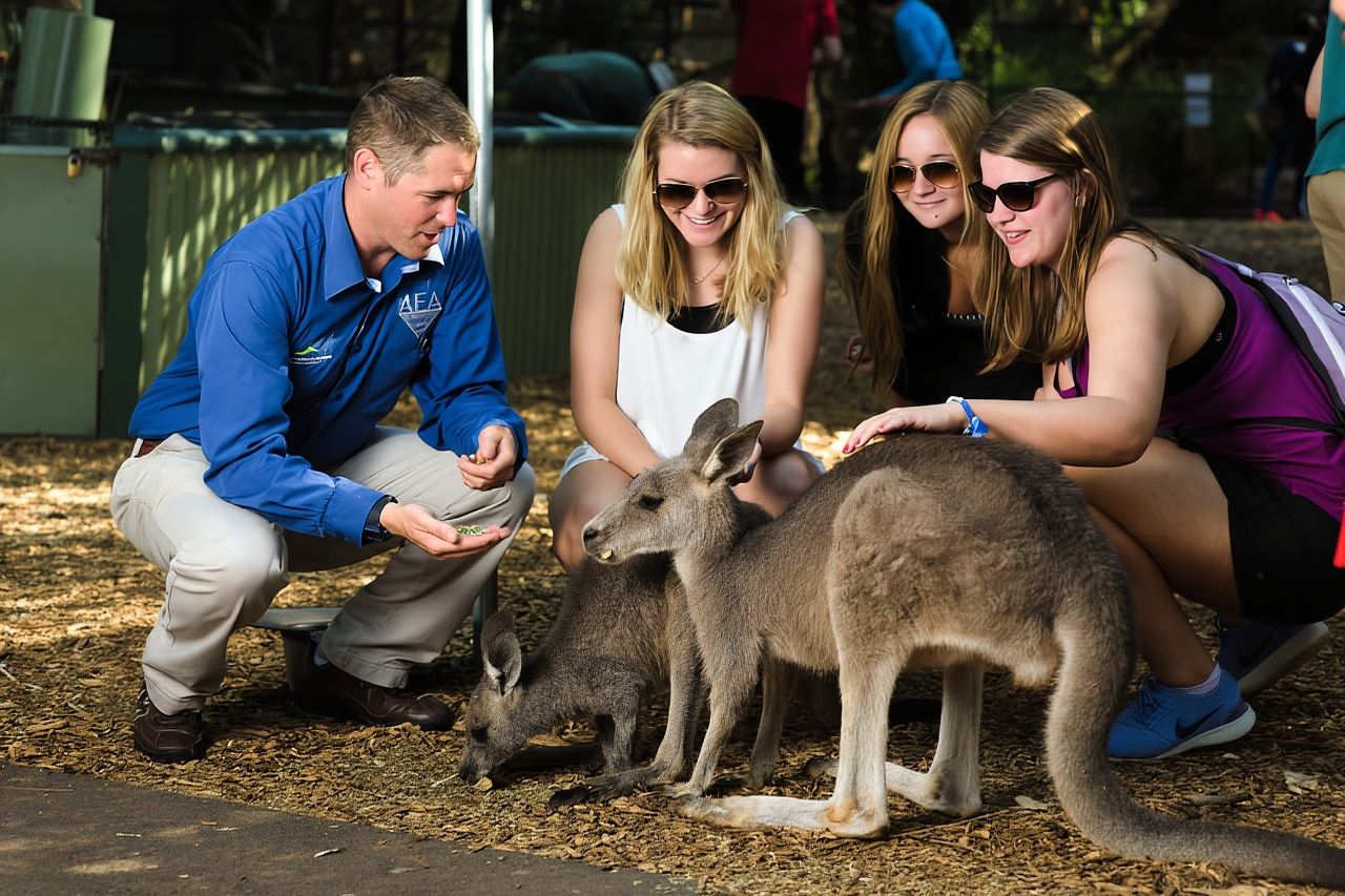 Da Sydney: tour per piccoli gruppi delle Blue Mountains con picnic ed escursione