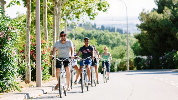 Tour en bicicleta eléctrica por Montjuïc y Barcelona