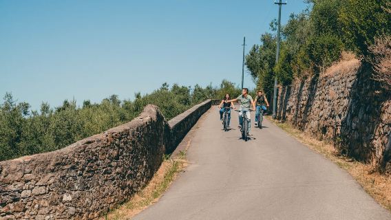 Firenze: tour privato di 2 ore in bicicletta elettrica sulle colline