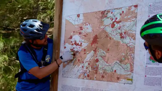 Mount Etna: Guided Mountain Bike Tour