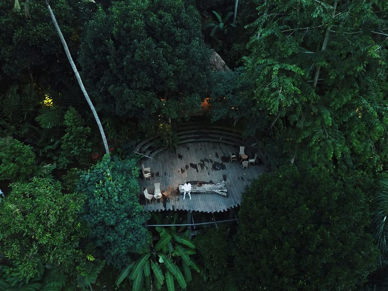 Ubud: Tegalalang Rice Terrace Photos Tour with Swing Ticket