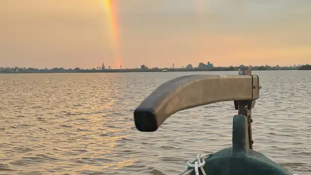 Albufera Valencia: Guided electric boat ride, also at sunset