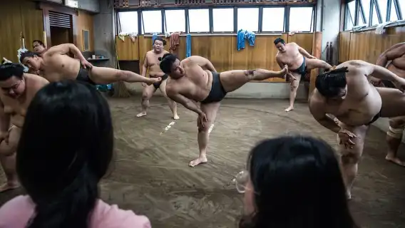 東京:相撲晨練觀看之旅