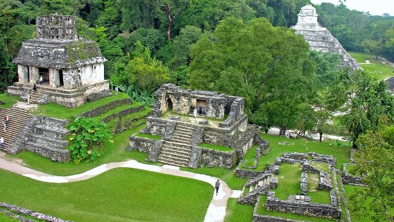 Chiapas: ตั๋วเข้าชมแหล่งโบราณคดีปาเลงเกแบบไม่ต้องต่อคิว