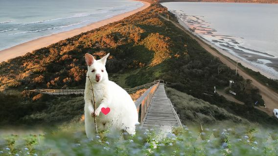 塔斯馬尼亞霍巴特布魯尼島一日遊【普通話團|南北一線|尋白袋鼠】