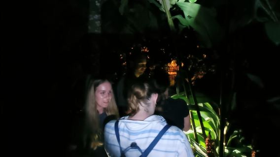 NIGHT WALK GOOD PLACE TO SEE SLOTH AND FLORA AND FAUNA