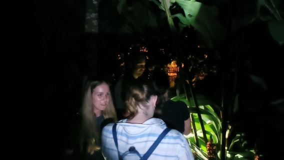NIGHT WALK GOOD PLACE TO SEE SLOTH AND FLORA AND FAUNA