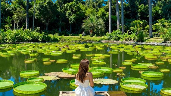 中科院西雙版納熱帶植物園+傣族園一日遊【2-8人團+贈傣迪純玩團】