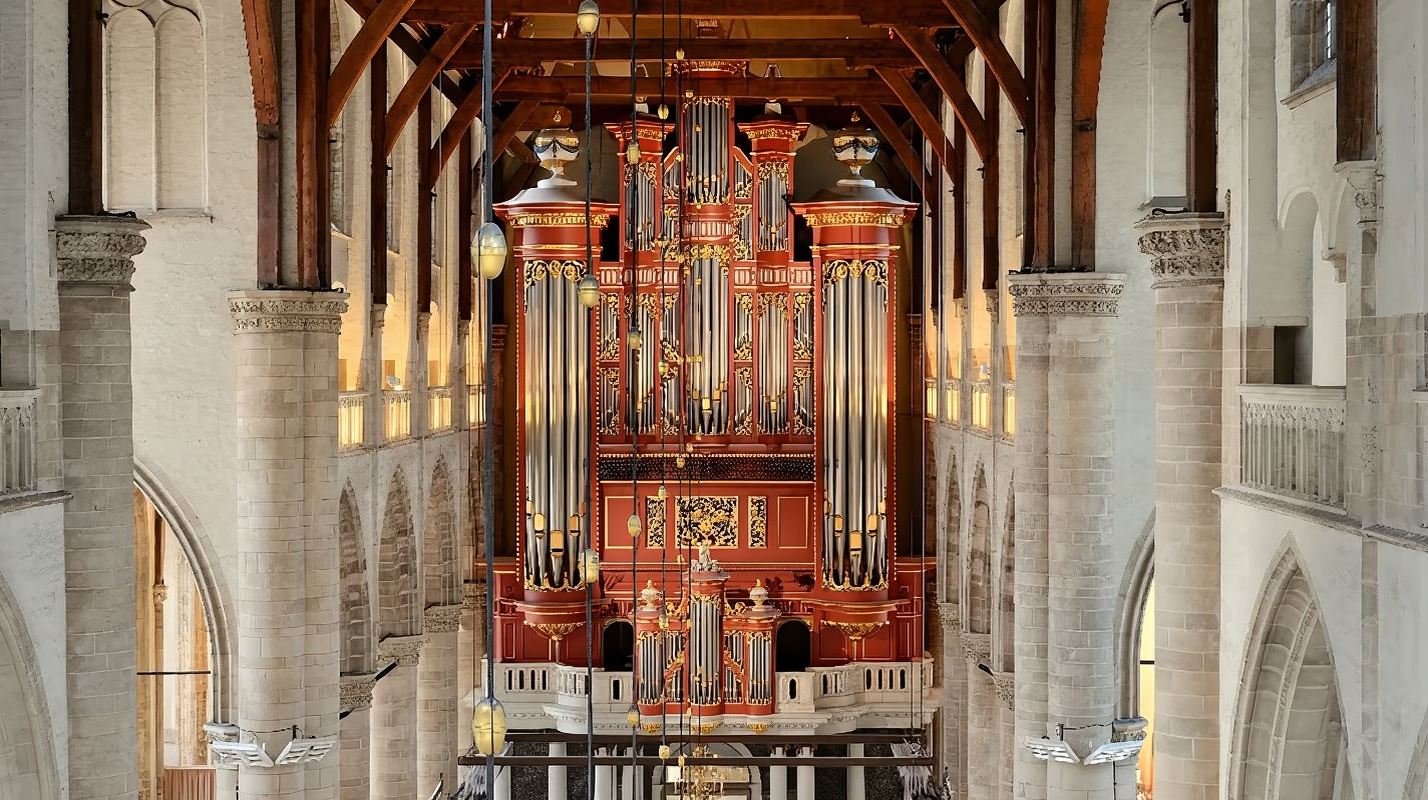 Chiesa di San Lorenzo + Case cubiche di Piet Blom + Markthal + Mulini a vento di Kinderdijk