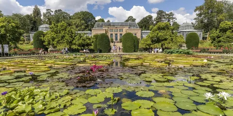 保時捷博物館 + 梅賽德斯-奔馳博物館 + 威廉瑪動植物園一日遊