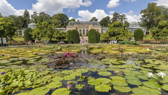 Perjalanan satu hari ke The Porsche Museum + Museum Mercedes-Benz + Kebun Raya dan Kebun Binatang Wilhelma