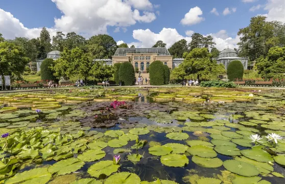 保時捷博物館 + 梅賽德斯-奔馳博物館 + 威廉瑪動植物園一日遊