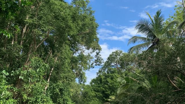 CARIBBEAN EXPERIENCE - PUNTA UVA