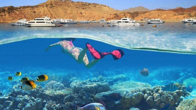Excursion de snorkeling à l'île Blanche et Ras Mohammed à Charm el-Cheikh
