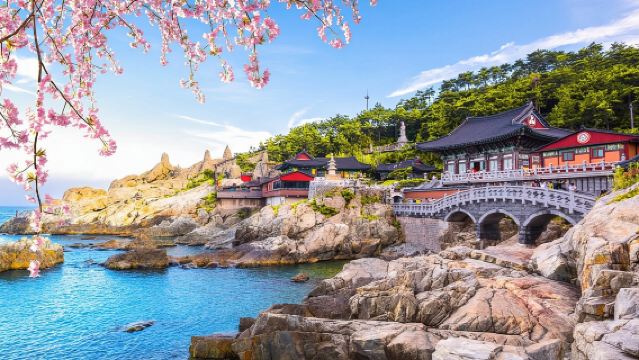 Tour auténtico por los lugares destacados de Busan de día completo