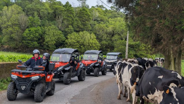 เซา มิเกล: ทัวร์รถเอทีวี/บักกี้ เซเต ซิดาเดส