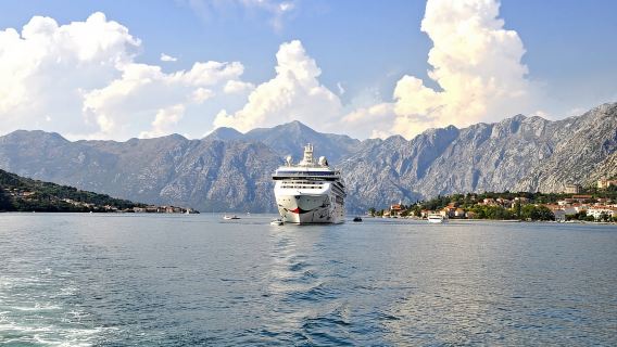 Desde Tirana: Excursión diaria a Montenegro