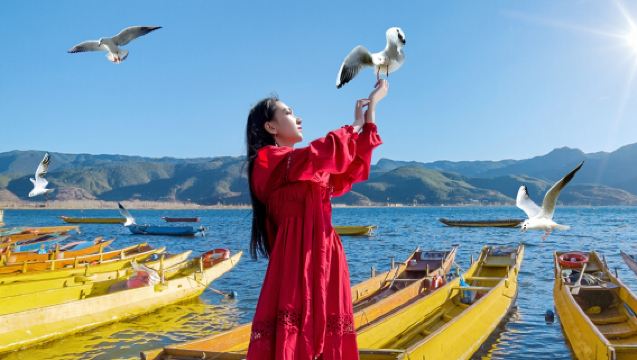 麗江瀘沽湖一日遊360°環湖【豬槽船+餐·臻選純玩無購物】