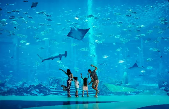 亞特蘭蒂斯失落的空間水族館門票成人