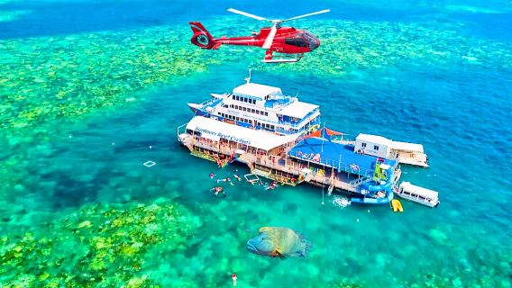 รับออเดอร์ด่วน #Cairns Sunlover ทัวร์วันเดียว/ทัวร์หลายวัน เชิงลึก 4 ชั่วโมง เฮลิคอปเตอร์เสริม