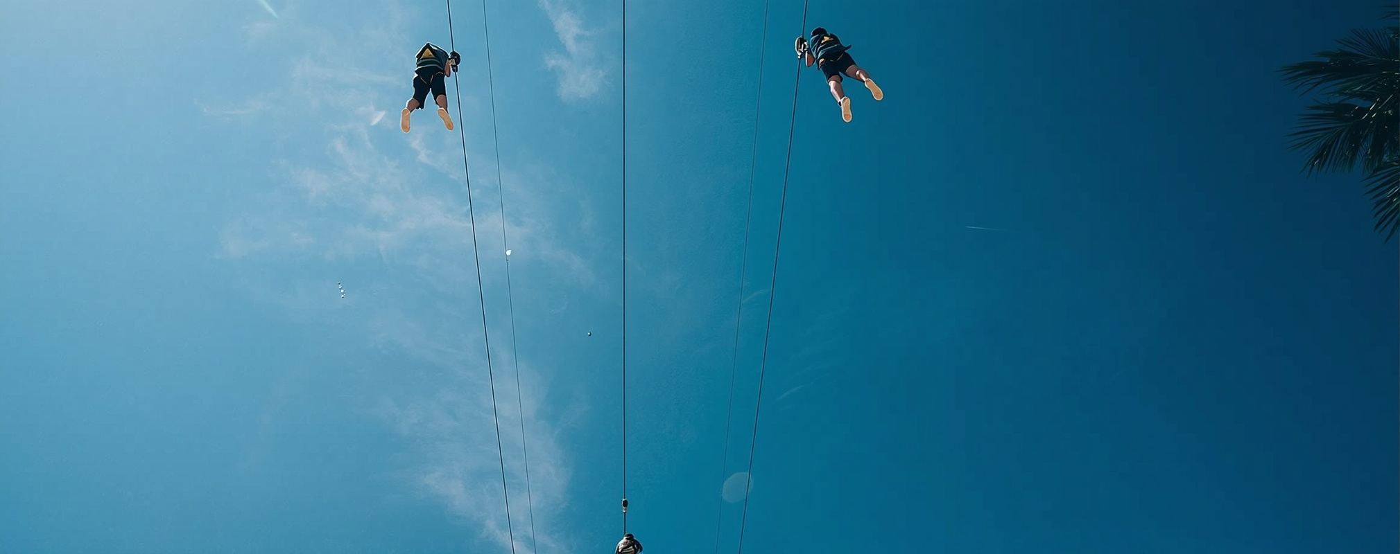 ประสบการณ์โหนสลิงในป่าและสไลเดอร์สูงที่สวนสนุก Flying Trapeze สิงคโปร์ 713