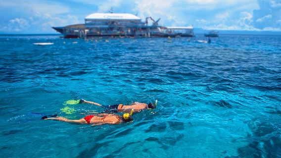 Однодневный тур на Большой Барьерный риф из Кэрнса на катамаране SilverSonic с возможностью дайвинга