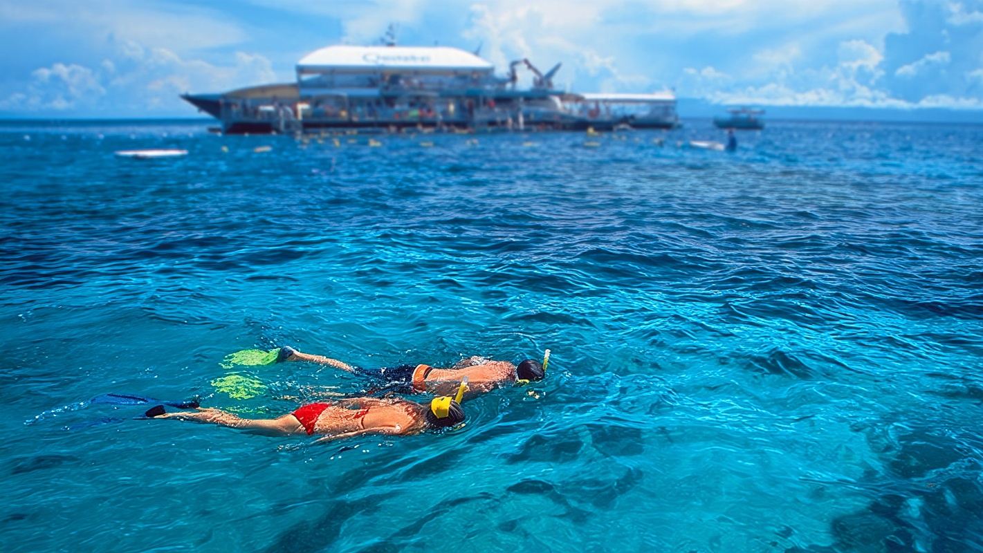 Excursión de un día a la Gran Barrera de Coral desde Cairns en el SilverSonic [buceo opcional]