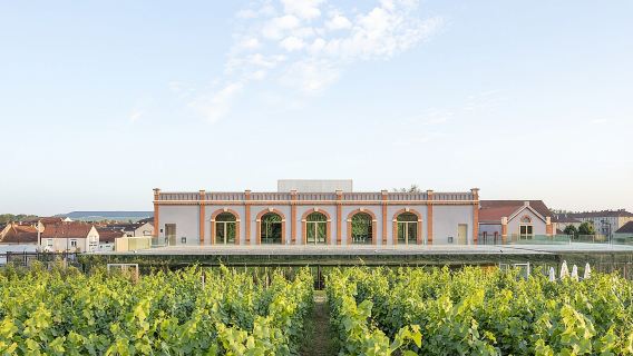 Entrance ticket to Pressoria in the heart of Champagne with Tasting