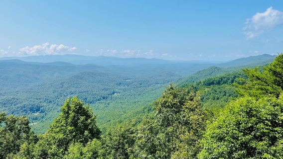 Экскурсия на джипах в небольшой группе по парку Смоки-Маунтинс Футхиллс