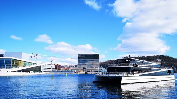 Oslo-Kombi-Tour: Große Stadtrundfahrt und Oslofjord-Kreuzfahrt