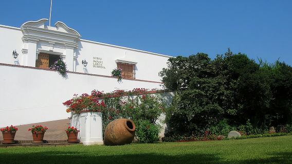 Tour serale del Museo Larco, della Vecchia Taverna Pisco e del Circuito Magico dell'Acqua