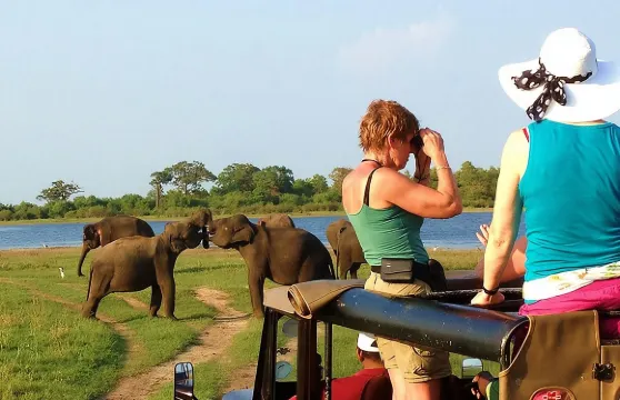 超值套票！亞拉國家公園與烏達瓦拉瓦國家公園一日遊獵之旅