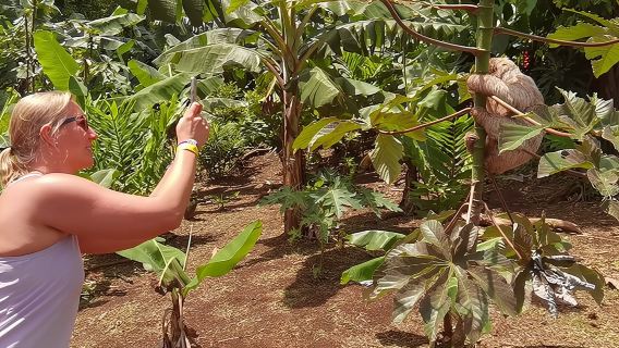 Частный тур «Тропический лес, дикая природа, водопад и шоколад»