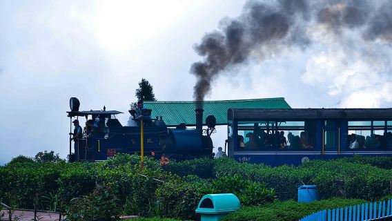 Day_Trippers (Darjeeling Ganztagestour).