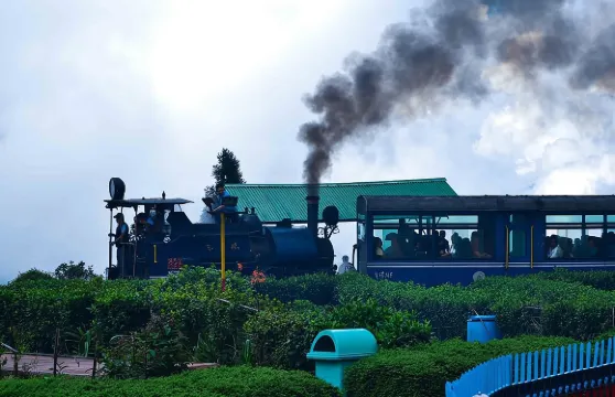 日遊旅客 (大吉嶺全日遊)。