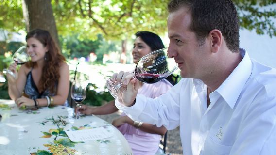 Private Ganztagestour durch Stellenbosch mit Abholung und Rücktransport
