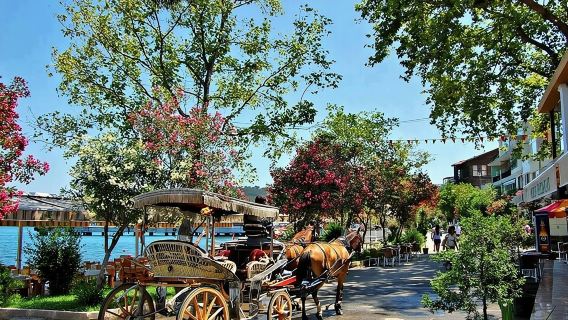 ทัวร์เกาะ Princes อิสตันบูล พร้อมอาหารกลางวันและบริการรับส่งที่โรงแรม